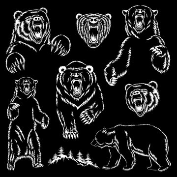 Set of vector images of bears. Bears are furious. Design elements for prints.