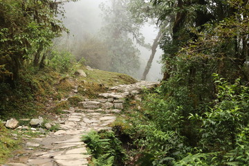 Fototapeta na wymiar Path in the fog in Nepal