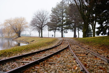 railroad tracks in the forest