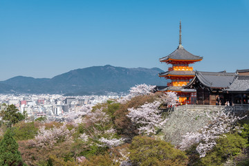 日本 京都 清水寺の桜と春景色