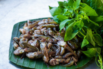 Tadpoles are popular for cooking local food.