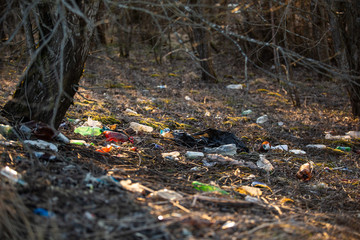 Chaos in the world. Landfills in nature during the pandemic