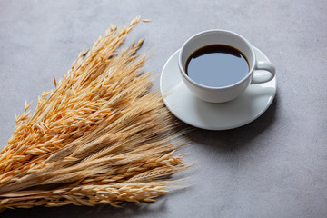 Cup of coffee and wheat spikelets on gray background