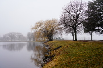 Fototapeta na wymiar Quiet community park covered in dense fog during cold winter to spring season day