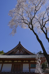 京都 洛南の名刹 醍醐寺