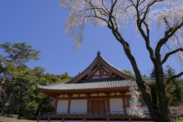 京都 洛南の名刹 醍醐寺