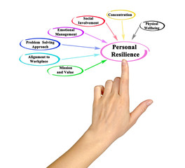 Seven Drivers of Personal Resilience