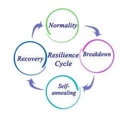 Four components of Resilience Cycle.