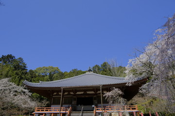 Fototapeta na wymiar 京都 洛南の名刹 醍醐寺