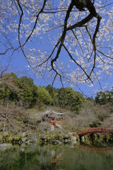 京都 洛南の名刹 醍醐寺