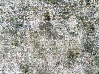 old gray woolen carpet texture background. macro photo