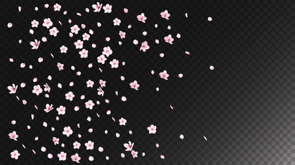 Nice Sakura Blossom Isolated Vector. Summer Showering 3d Petals Wedding Border. Japanese Beauty Spa Flowers Wallpaper. Valentine, Mother's Day Beautiful Nice Sakura Blossom Isolated on Black - 333875995