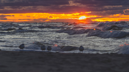 Zachód słońca nad Morzem Bałtyckim 
