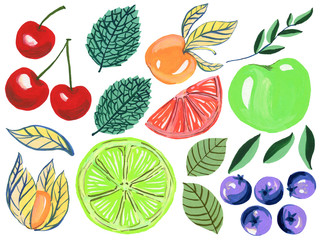 Watercolor Set fruits seasons spring summer botanical plants Hand-Painted Isolated on white