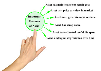  Six Important features of Asset.
