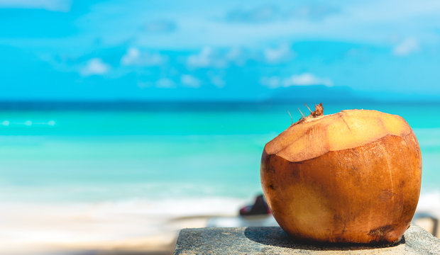 Drinking coconut on paradise beach