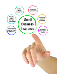  Six Types of Small Business Insurance