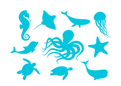 Marine animals outline set vector illustration. Isolated silhouettes of marine mammals and fishes collection on white background. Blue whale, octopus and turtle, dolphin, ray and seahorse.