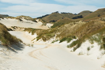 Sand dunes at Sandfly Bay near Dunedin, Otago on South Island of New Zealand