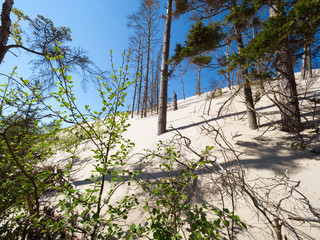 Słowiński Park Narodowy z ruchomymi wydmami jest położony w środkowej części polskiego wybrzeża,