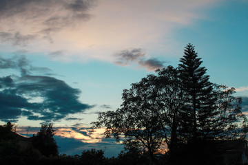 Imagen abstracta de paisaje boscoso al atardecer con nubes especiales