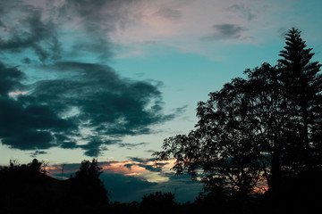 Imagen abstracta de paisaje boscoso al atardecer con nubes especiales