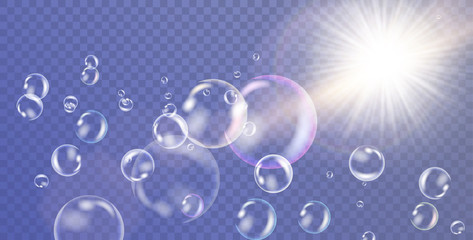 Realistic white water bubbles with reflection on transparent background. Vector illustration