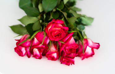 Bouquet of roses isolated on white background - overhead view
