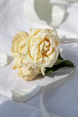 Withered roses, broken cup. Concept  relationship crisis