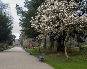 Parks that would normally be busy with people welcoming the spring blossoms are largely deserted because of the lockdown caused by the Covid19 pandemic