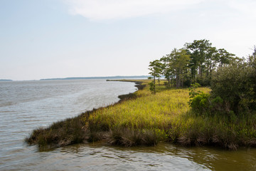 Weeks Bay Fish River wildlife preserve Park marsh meadows and forests around Bay in Alabama