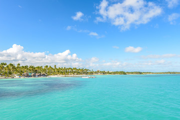 caribbean beach with palms tree