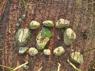  Large stone grave - Large Prehistoric burial site or Dolmen surrounded by an tree forest in...