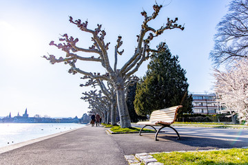 Bank, Frühlingsanfang im Park, Bodensee, Konstanz