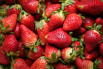 background from freshly harvested strawberries, directly above