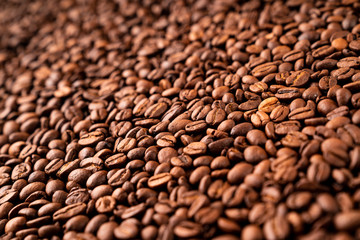 Close-up of roasted coffee beans