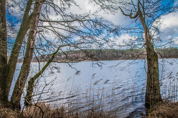 Lakeside in late winter