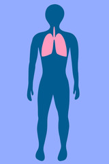 Vector illustration of a man in full growth with marked lungs.