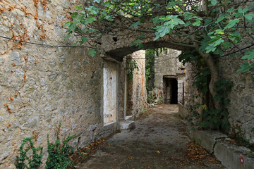 Malo Grablje, Little Grablje, ghost village, abandoned village on Hvar island, Croatia