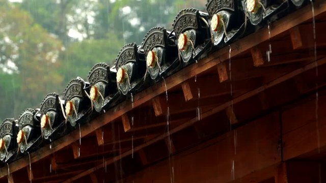 Closeup photography: Raindrops driping from the eaves of an ancient building
