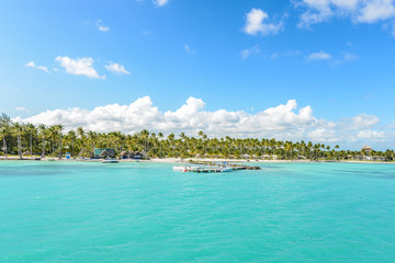 caribbean beach with palms tree