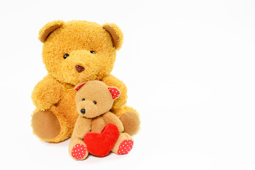 Two teddy bears on a white background