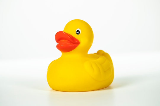 Rubber duck  against white background.