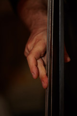 musician and Contrabass