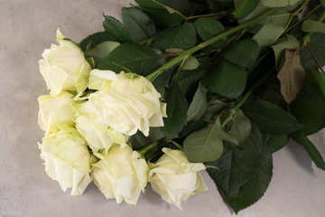 large white roses  on  old gray stone or concrete background. wedding holiday celebration concept