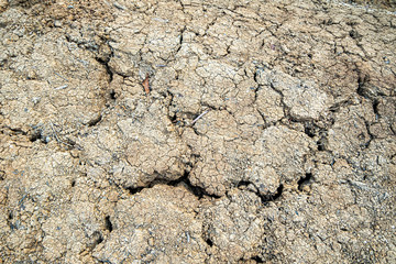 Dried cracked soil ground texture background.