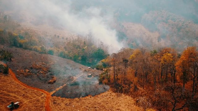 Global warming crisis. Slash and burn agriculture. Climate change, deforestation. Footage 4k