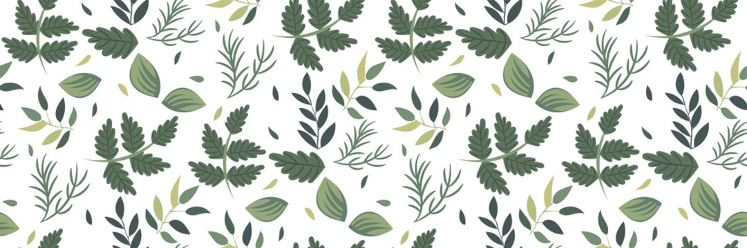Plant leaves seamless pattern on white background. Botanical motifs in a refined muted and light shades of green. Vector illustration. Perfect for Wallpaper, wrapping paper, fabrics, covers...