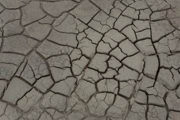 물이 없어 갈라진 갯뻘땅