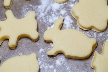 cooking homemade delicious cookies of different figures from the dough